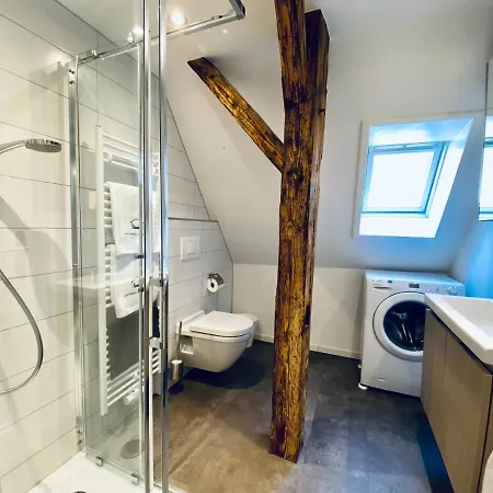 Business Zimmerzuvermieten In Apartment *