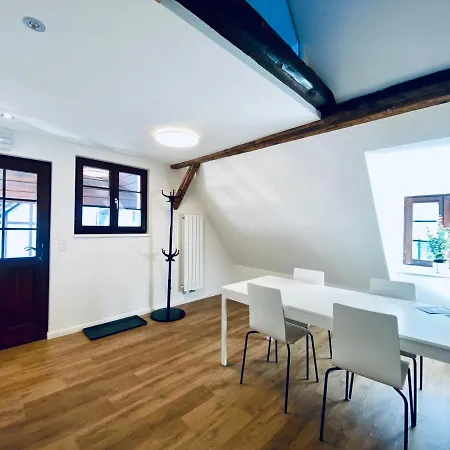 Apartment Business Zimmerzuvermieten In